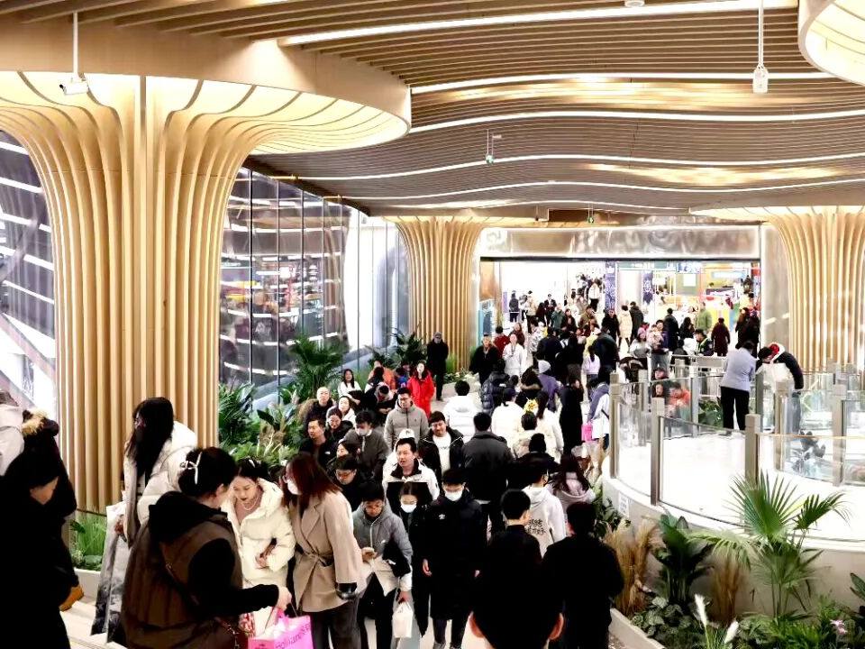 1767168705988037842960_720